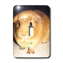 Guinea Pig - Guinea Pig - Light Switch Covers - single toggle switch