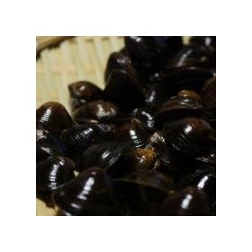 SHUEI �k�C���Y �V�R�嗱�E�k�t������1kg 1980�~