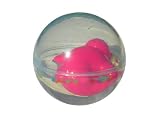 Play Seal Water Ball