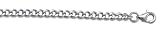 Steel 4.6mm Curb Chain Necklace