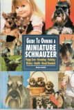 The Guide to Owning a Miniature Schnauzer