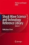 Shock Wave Science and Technology Reference Library, Vol. 1: Multiphase Flows I