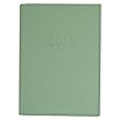 Aqua Blue Cavallini 2011 Leather Daily Planner