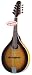 Savannah Oval Hole Mandolin, SA-110