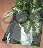 Mylar - 50 ft.x 50 in.