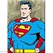 Search : DC Comics Superman Hands On Hips Magnet 24060DC
