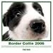 The Dog Border Collie 2006 Calendar (Artlist Collection)