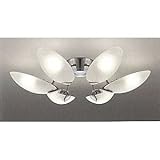 KOIZUMI FIORAMI �V�����f���A  8~10���p AAN-585080