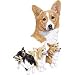Pembroke Welsh Corgi Adult Long Sleeve T-Shirt