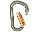 Black Diamond Rocklock TwistLock Carabiner Twist Lock