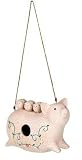 Outdoor Living : Red Carpet Studios Ltd. Mom N Theme Pig Birdhouse