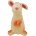 Rich Frog Sparky Rabbit Natural Rubber Baby Teether Toy