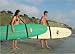 Stick Schlepper Surfboard Carrier