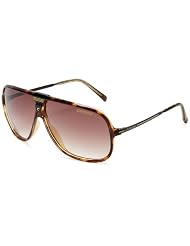 CARRERA SUNGLASSES CA PICCHU S 0FNK HAVANA BLACK by Carrera