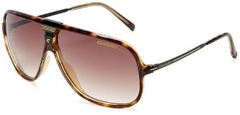 Click here to buy CARRERA SUNGLASSES CA PICCHU S 0FNK HAVANA BLACK by Carrera.