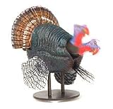Bobble Head Turkey