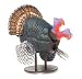 Bobble Head Turkey
