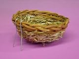 HAGEN NEST GRASS CANARY 4 X 2 inch