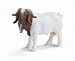 Schleich Boer He-Goat