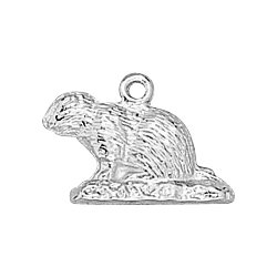 Sterling Silver Ground Hog Charm