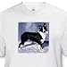 Border Collie - White Infant Lap-Shoulder Tee (6M)
