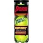Penn Championship Extra-Duty Tennis Balls