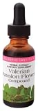 Eclectic Institute - Valerian Passion Flower, 1 fl oz liquid
