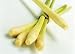  : Lemon grass Fresh 12 Stalks