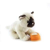 Teeboo USA  BB Kidoo Pets Kitten - Siamese