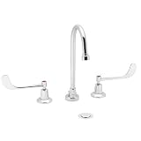 Speakman SC-3016-9 Commander Widespread Swing Spout