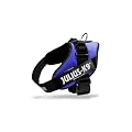 Julius K9 IDC Powergeschirr blau Mini
