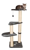 TRIXIE Pet Products Altea Cat Tree (Gray)
