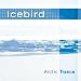 Arctic Trance