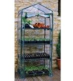 3133gdBYRrL. SL160  Four Tier Mini Greenhouse