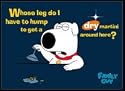 Family Guy Dry Martini Magnet FM1453