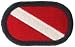 82nd Personnel Services Battalion Army Oval Patch