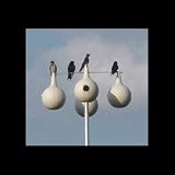 13.5' Aluminum Cross Purple Martin Pole Kit With 4 Gourds