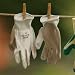 Gardening Gloves Showa Palm Fit Grip - Plant Handler - Small