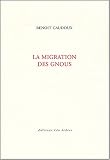 La Migration des gnous