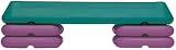 The Step F1009W Circuit Step