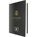 STEINWAY VIRTUAL CONCERT GRAND STANDARD