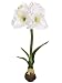 18 Standing Amaryllis w/Bulb White (Pack of 4)