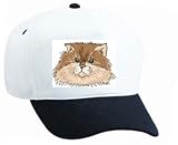 White Cap with head, himalayan, cat, face, feline, maltese