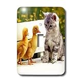 Cats - Kitten and Duck - Light Switch Covers - single toggle switch