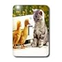 Cats - Kitten and Duck - Light Switch Covers - single toggle switch