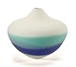 Tidal Vase #2
