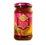 Cilantro & Ginger - Tikka Marinade and Grill Sauce - 3 Packages of 10 oz