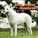 White German Shepherds 2010 Wall Calendar