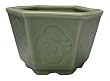 Chinese celadon bonsai planter / pot with goldfish and four seasons design- porcelain, hand glazed