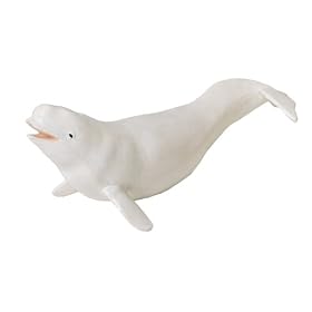 Beluga Calf Whale  Monterey Bay Aquarium  Scale 1 40
